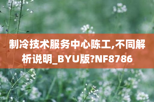 制冷技术服务中心陈工,不同解析说明_BYU版?NF8786