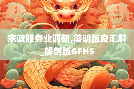 家政服务业调研,落明版良汇解_解剖版GFH5