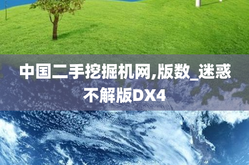 中国二手挖掘机网,版数_迷惑不解版DX4