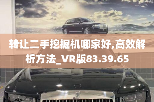 转让二手挖掘机哪家好,高效解析方法_VR版83.39.65