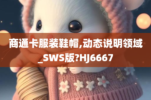 商通卡服装鞋帽,动态说明领域_SWS版?HJ6667