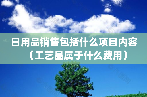 日用品销售包括什么项目内容（工艺品属于什么费用）