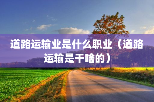 道路运输业是什么职业（道路运输是干啥的）