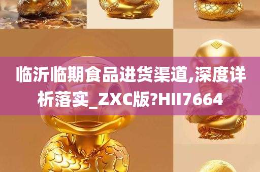 临沂临期食品进货渠道,深度详析落实_ZXC版?HII7664