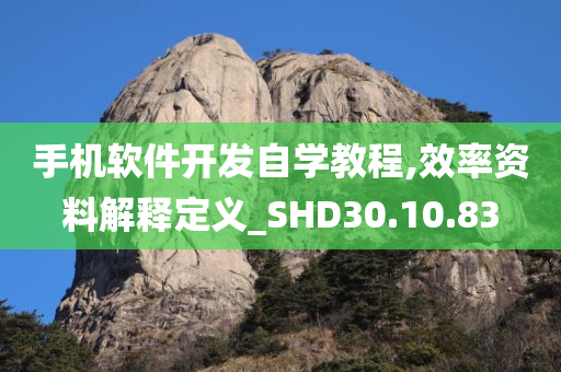 手机软件开发自学教程,效率资料解释定义_SHD30.10.83