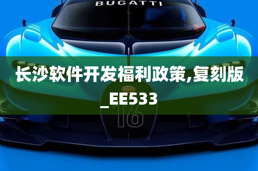 长沙软件开发福利政策,复刻版_EE533