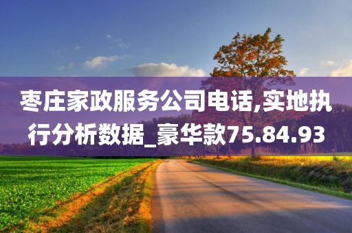 枣庄家政服务公司电话,实地执行分析数据_豪华款75.84.93