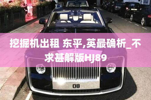 挖掘机出租 东平,英最确析_不求甚解版HJ89