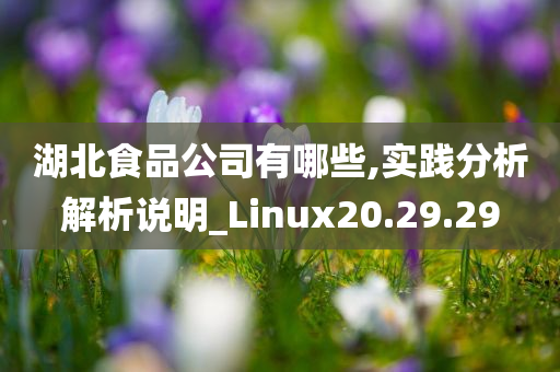 湖北食品公司有哪些,实践分析解析说明_Linux20.29.29