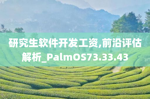 研究生软件开发工资,前沿评估解析_PalmOS73.33.43