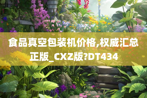 食品真空包装机价格,权威汇总正版_CXZ版?DT434