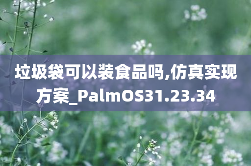 垃圾袋可以装食品吗,仿真实现方案_PalmOS31.23.34