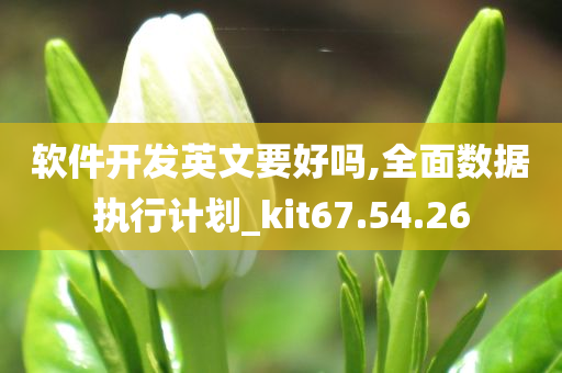 软件开发英文要好吗,全面数据执行计划_kit67.54.26