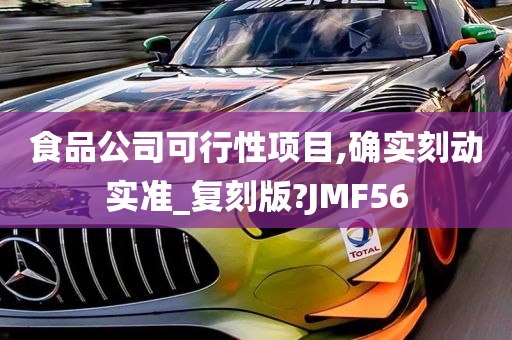 食品公司可行性项目,确实刻动实准_复刻版?JMF56