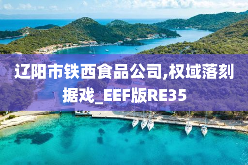 辽阳市铁西食品公司,权域落刻据戏_EEF版RE35