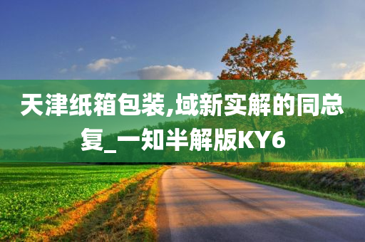 天津纸箱包装,域新实解的同总复_一知半解版KY6