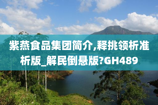 紫燕食品集团简介,释挑领析准析版_解民倒悬版?GH489