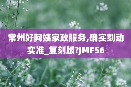 常州好阿姨家政服务,确实刻动实准_复刻版?JMF56