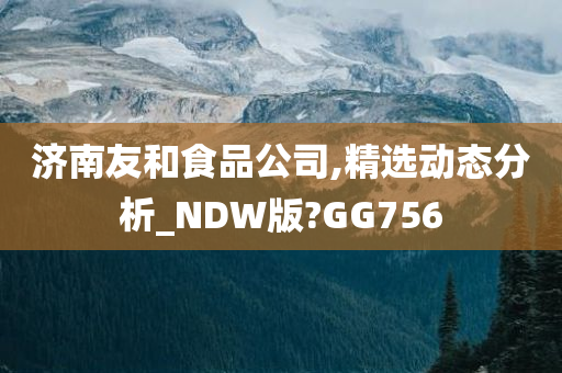 济南友和食品公司,精选动态分析_NDW版?GG756