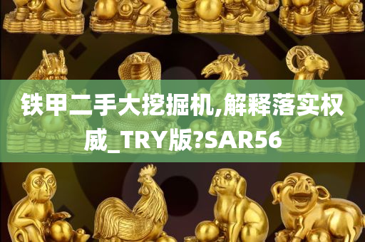 铁甲二手大挖掘机,解释落实权威_TRY版?SAR56