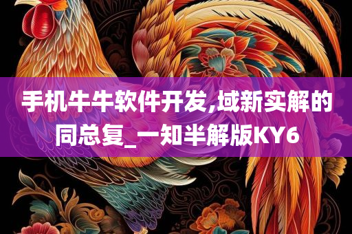 手机牛牛软件开发,域新实解的同总复_一知半解版KY6