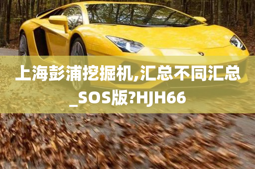 上海彭浦挖掘机,汇总不同汇总_SOS版?HJH66