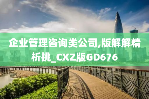 企业管理咨询类公司,版解解精析挑_CXZ版GD676