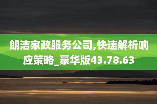 朗洁家政服务公司,快速解析响应策略_豪华版43.78.63