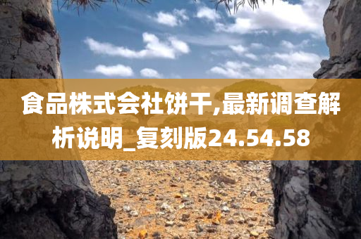 食品株式会社饼干,最新调查解析说明_复刻版24.54.58