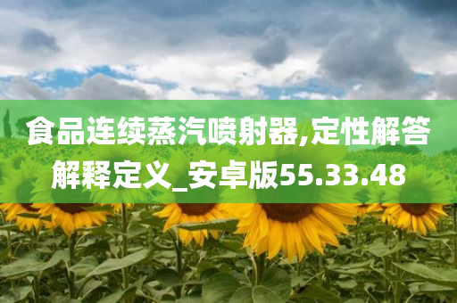 食品连续蒸汽喷射器,定性解答解释定义_安卓版55.33.48