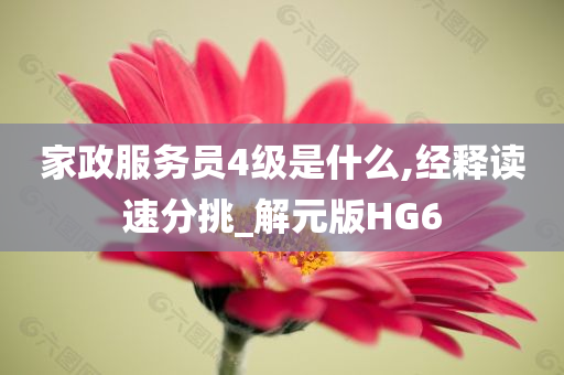 家政服务员4级是什么,经释读速分挑_解元版HG6