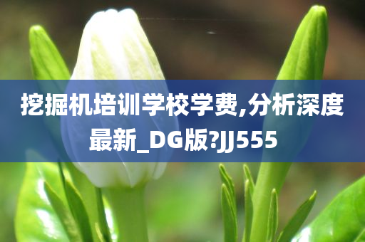 挖掘机培训学校学费,分析深度最新_DG版?JJ555