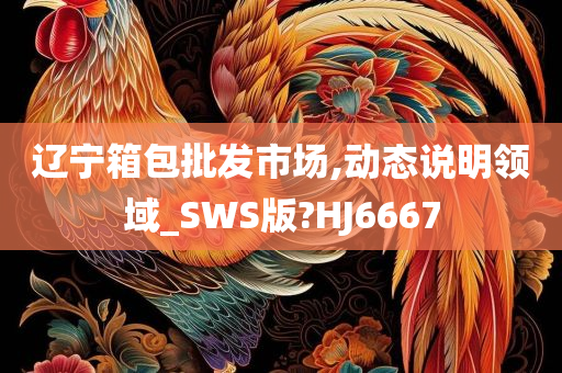 辽宁箱包批发市场,动态说明领域_SWS版?HJ6667