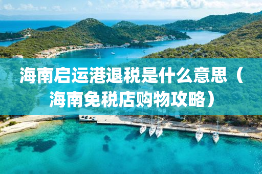 海南启运港退税是什么意思（海南免税店购物攻略）