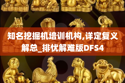 知名挖掘机培训机构,详定复义解总_排忧解难版DFS4