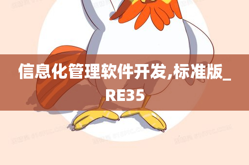 信息化管理软件开发,标准版_RE35