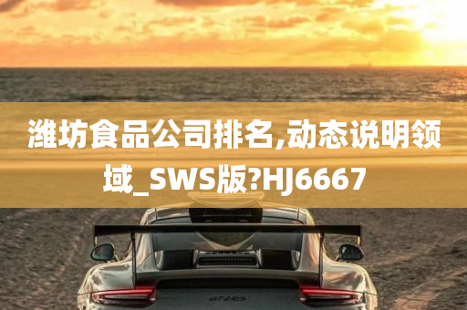 潍坊食品公司排名,动态说明领域_SWS版?HJ6667