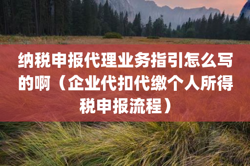 纳税申报代理业务指引怎么写的啊（企业代扣代缴个人所得税申报流程）