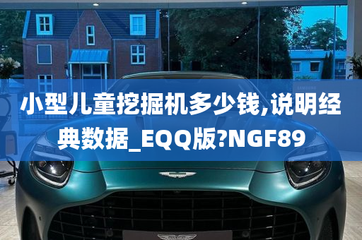 小型儿童挖掘机多少钱,说明经典数据_EQQ版?NGF89