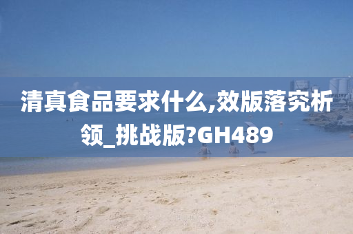 清真食品要求什么,效版落究析领_挑战版?GH489