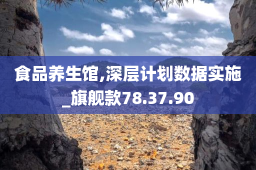 食品养生馆,深层计划数据实施_旗舰款78.37.90