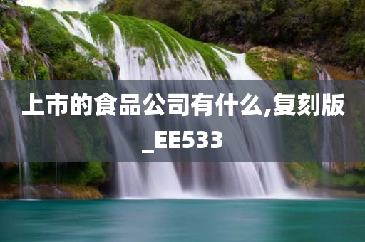 上市的食品公司有什么,复刻版_EE533