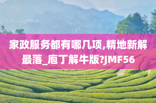 家政服务都有哪几项,精地新解最落_庖丁解牛版?JMF56