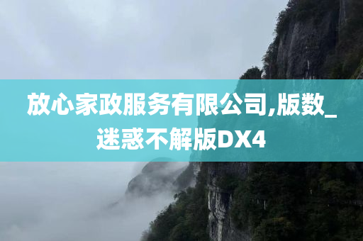 放心家政服务有限公司,版数_迷惑不解版DX4