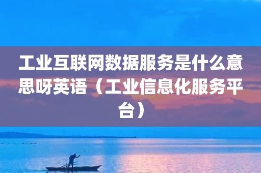 工业互联网数据服务是什么意思呀英语（工业信息化服务平台）