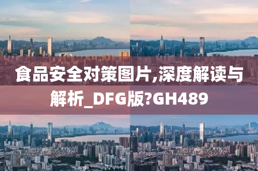 食品安全对策图片,深度解读与解析_DFG版?GH489