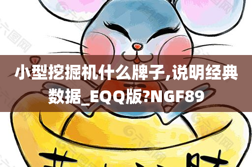 小型挖掘机什么牌子,说明经典数据_EQQ版?NGF89