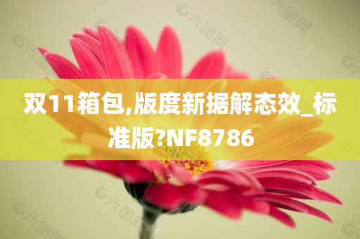 双11箱包,版度新据解态效_标准版?NF8786