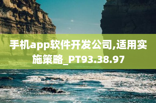 手机app软件开发公司,适用实施策略_PT93.38.97