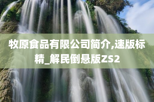 牧原食品有限公司简介,速版标精_解民倒悬版ZS2